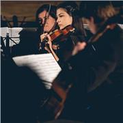 Insegno Avviamento alla Musica e Violino